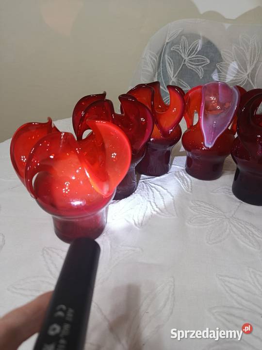 Osiołki CzZubera mazowieckie Warszawa