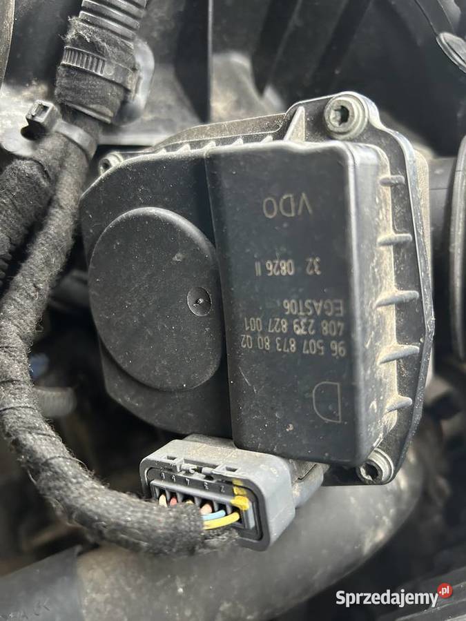 przepustnica 965078738002 Peugeot Citroen 18 20 osobowe Bodzentyn sprzedam