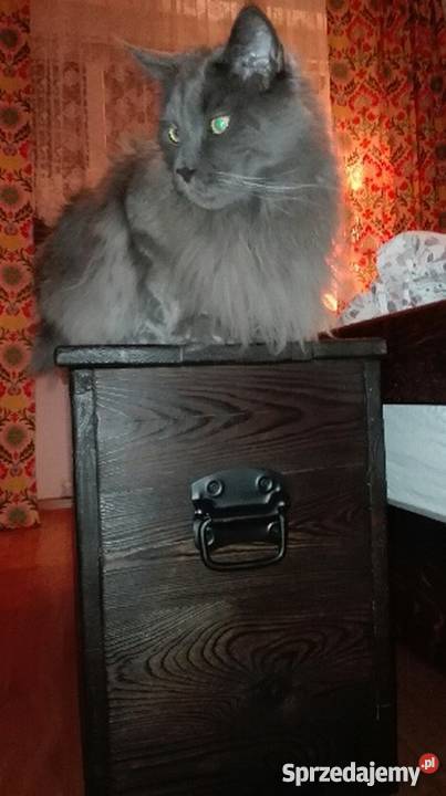 Rustykalna kolonialna skrzynia ogniem malowana Krasów