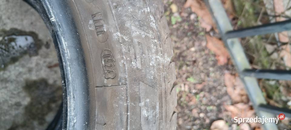 2x 2055516 opony całoroczne Dębica Nawigator 3 55 Pruszków
