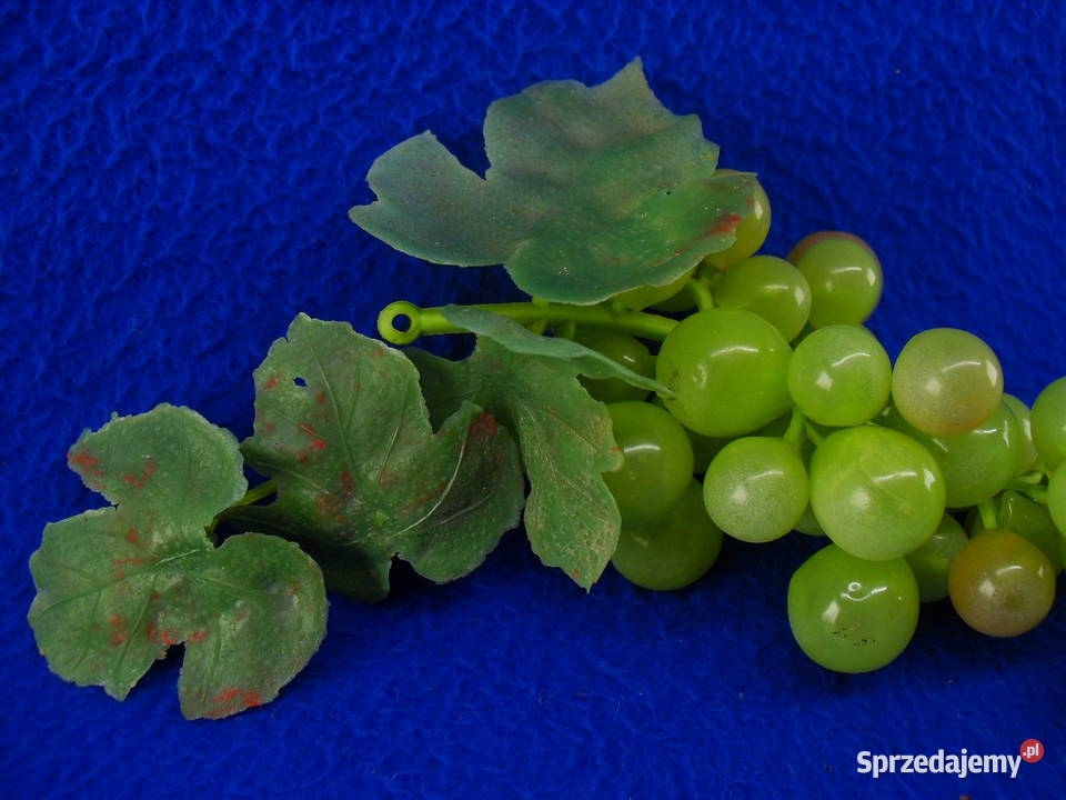 WINOGRONA DEKORACYJNE Bielawa