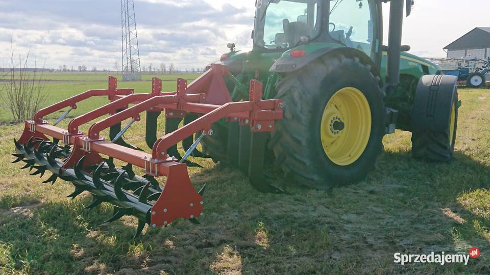 Głębosz GŁEBOSZE 123457 kujawsko-pomorskie Kowalewo Pomorskie