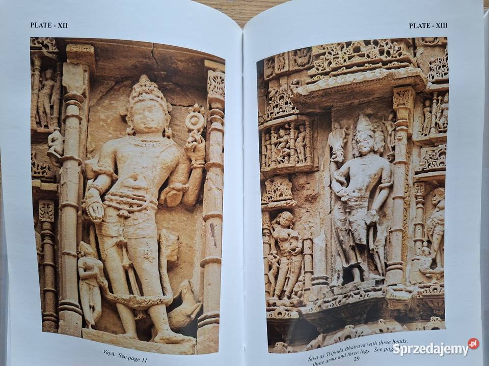 Modhera Archaeological Survey of India miękka małopolskie