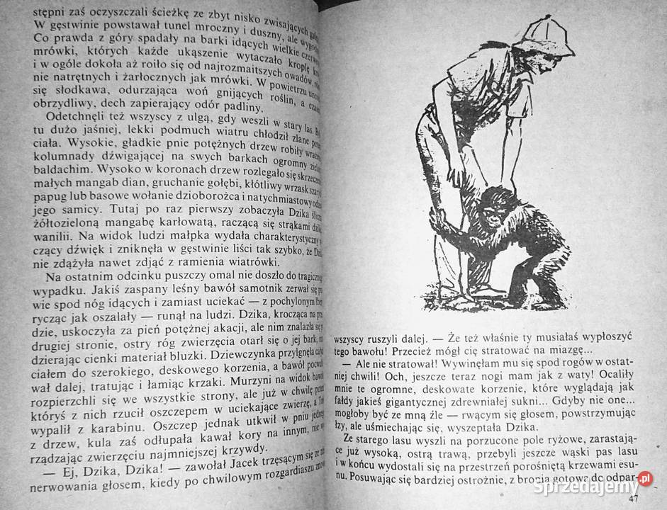 W puszczach i sawannach Kamerunu Kamil Giżycki Chełm