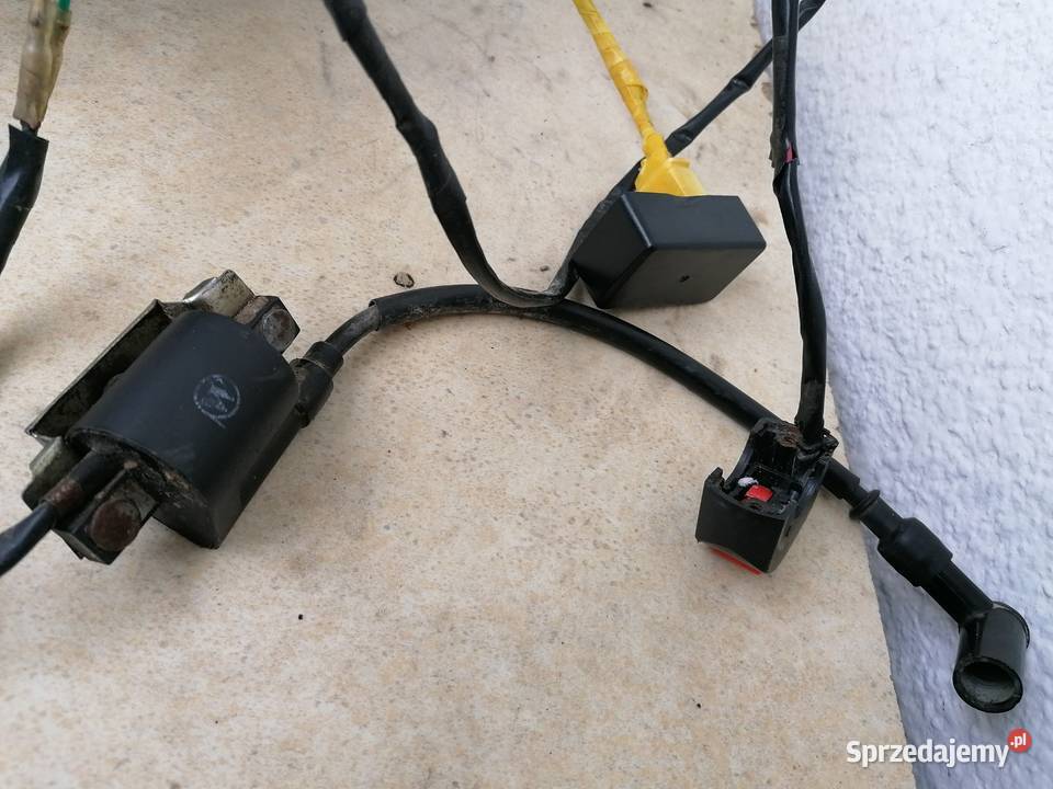 Silnik 110125 ccm3 cross lubelskie