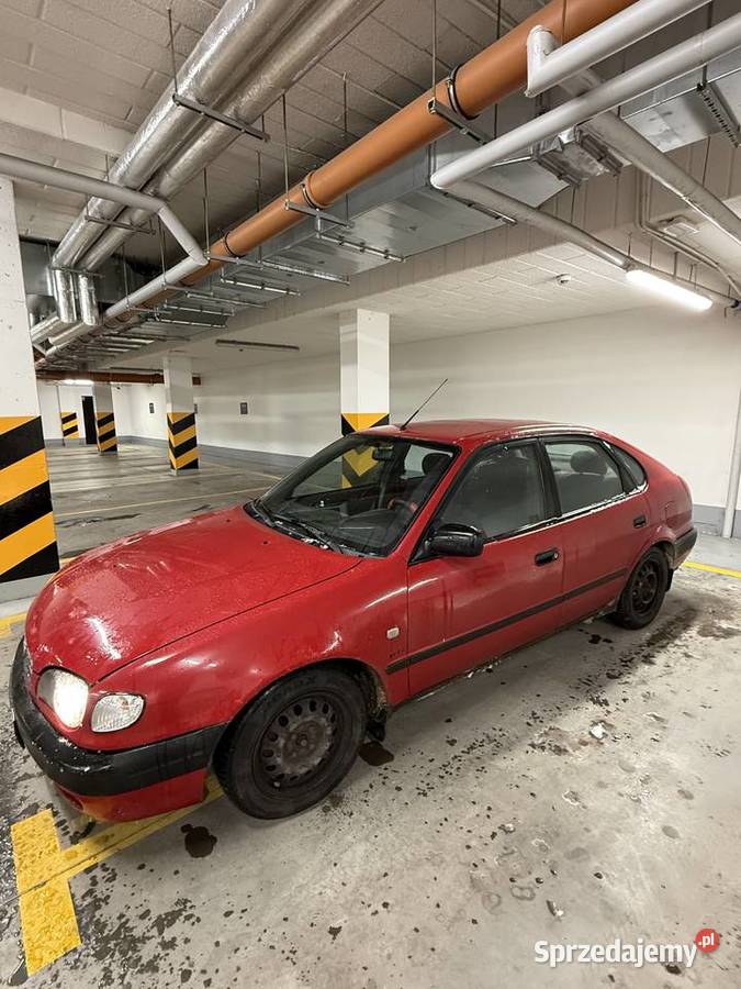 Toyota corolla Marianka