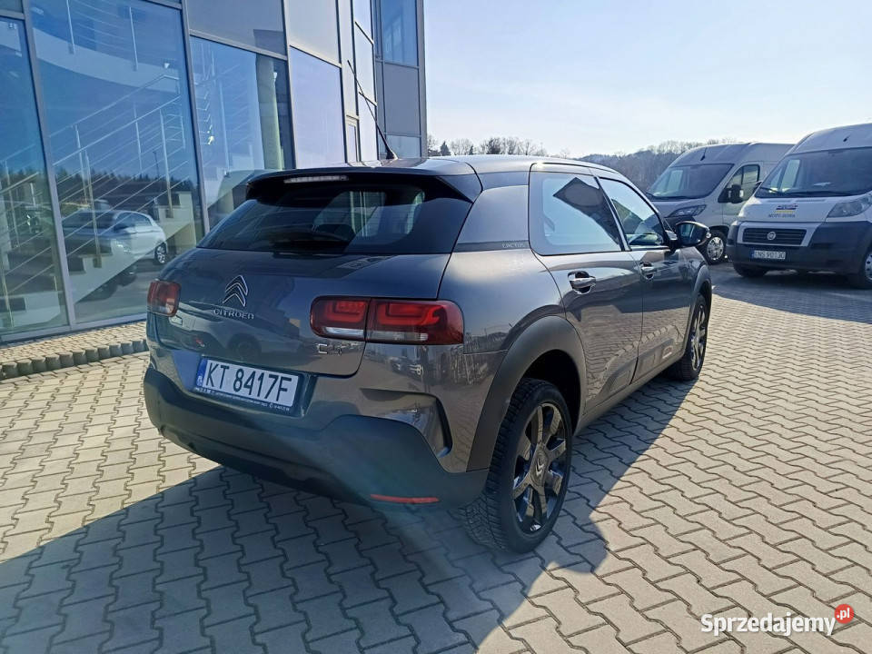 Citroen C4 Cactus Orgins 12 110 Salon 1 serwisowany w ASO C4 Cactus Nowy Sącz