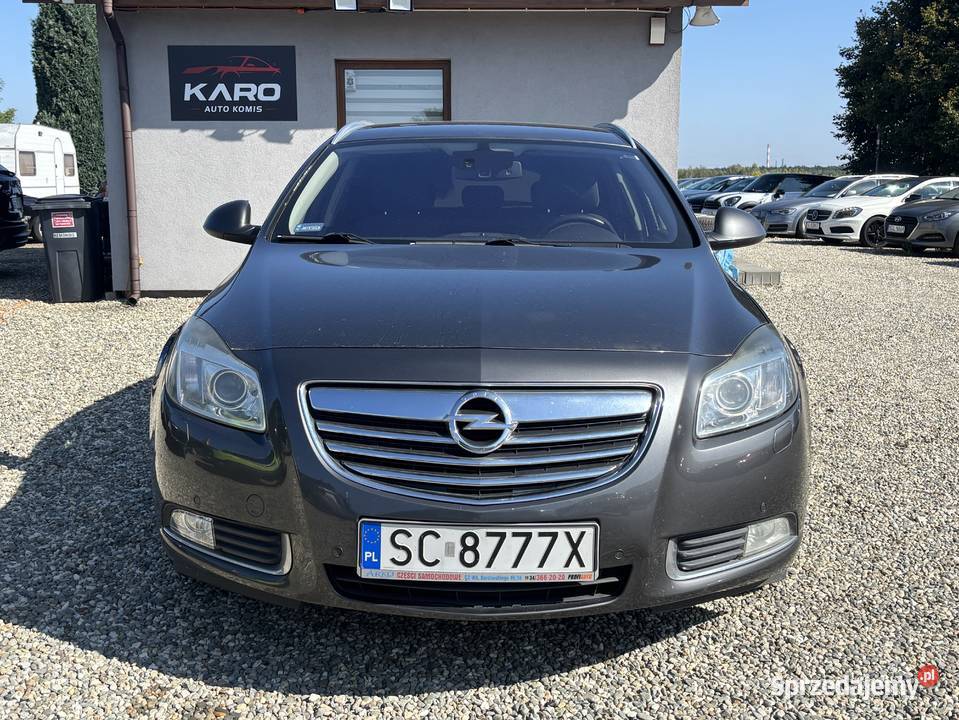 Opel Insignia Paniówki