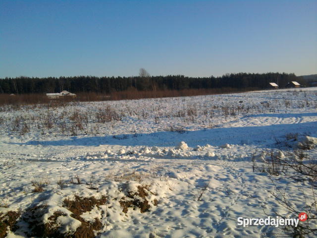 dzialke siedliskowom w czapielsku Czapielsk