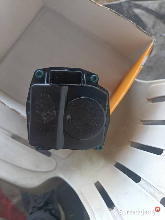 Przepustnica Citroen C4 Picasso 57KM Pionki