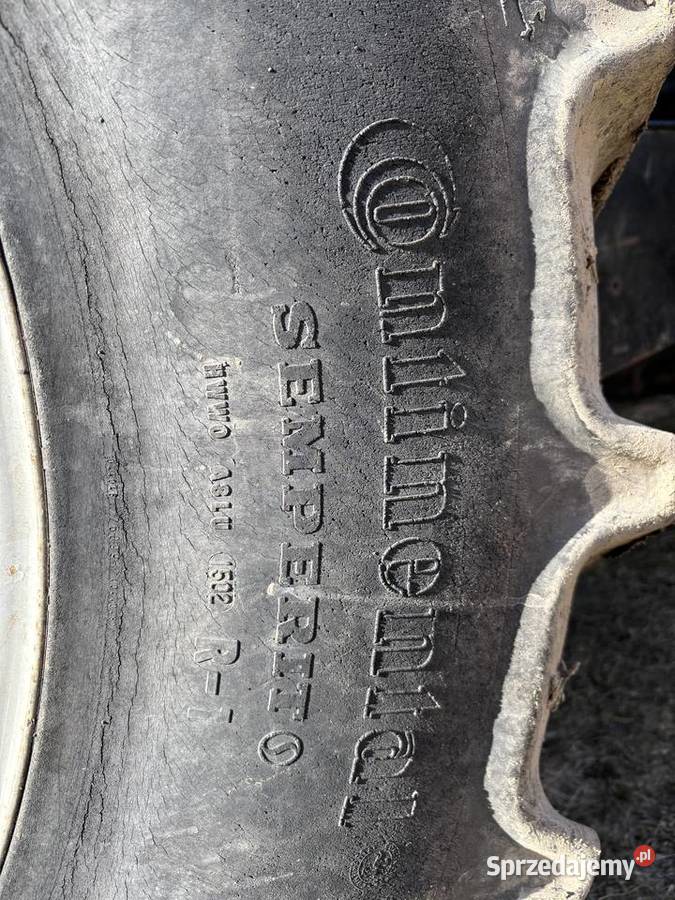 same explorer Korycin sprzedam