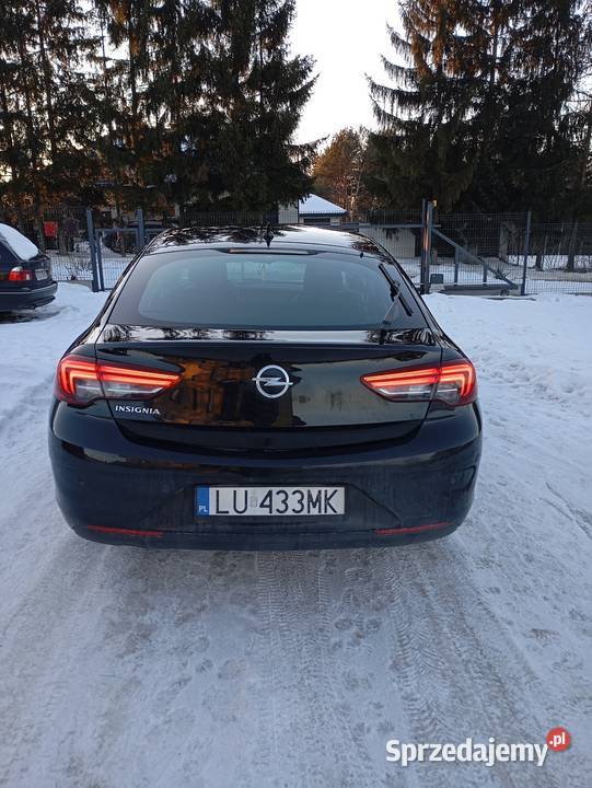 Opel Insignia 2019 Ciecierzyn