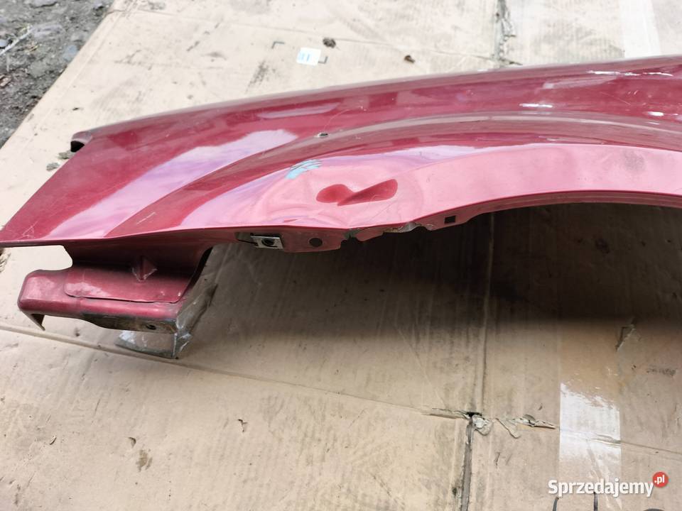 DACIA LOGAN I BŁOTNIK LEWY PRZÓD Motoryzacja Kamień-Kolonia sprzedam