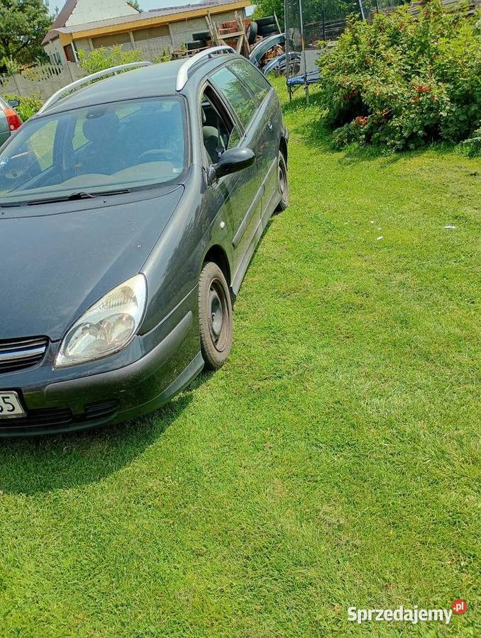 Citroen C5 Murzynowo Leśne