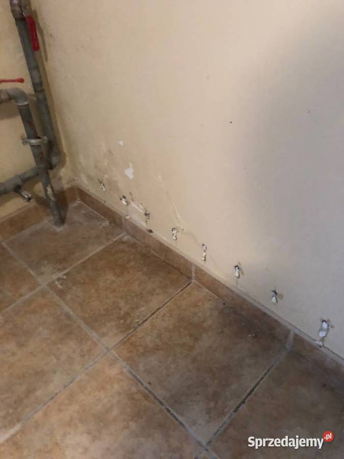 Poznań Wielkopolska Piła Człuchów Chojnice