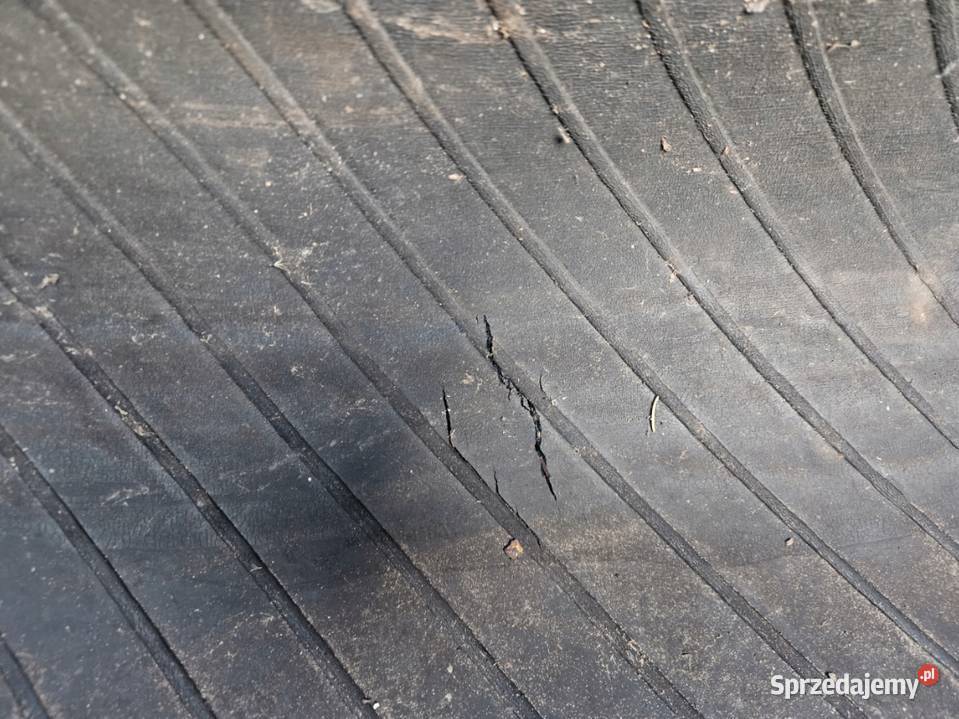 Opony Continental 65065 R 38 Svt 65065r38 Para Szprotawa