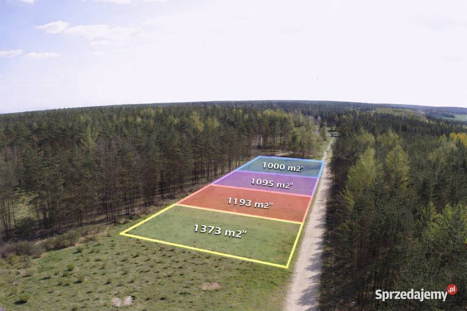 Działka budowlana 1000M2 WZ BRZÓZA Sprzedaż Brzóza