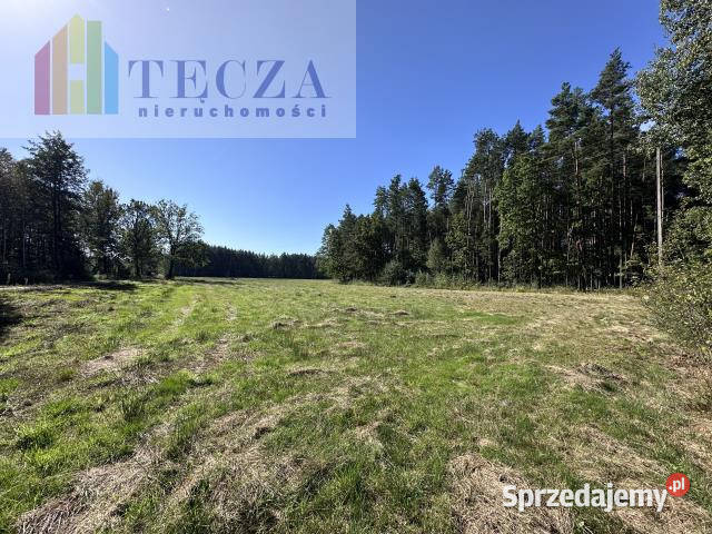 Działka 1800m2 Borucza Sprzedaż