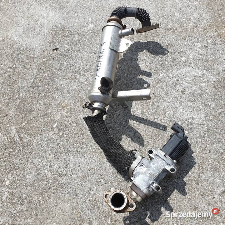 OPEL ZAFIRA B II 19 CDTI ZAWOR EGR 555061 Łochowice