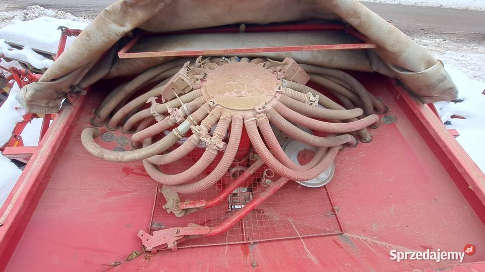 Siewnik Accord 30m talerzowy Lipnik