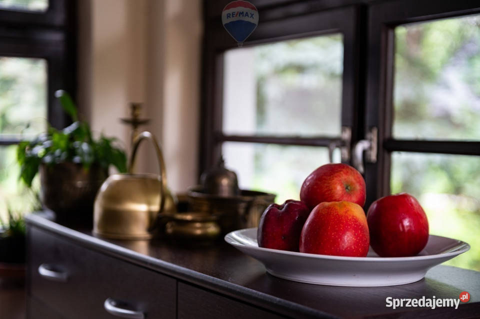 DOM W GÓRACH Z POTENCJAŁEM BIZNESOWYM