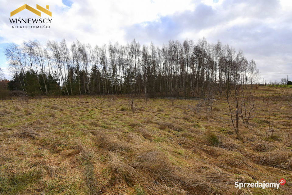 Działka pod zabudowę zagrodową granicy Miasta Nowa Wieś Mała