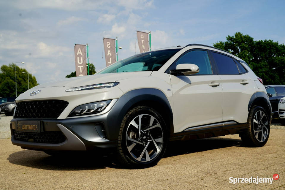 Hyundai Kona EXECUTIVE nawi HEAD UP szyberdach tempomat Otmuchów sprzedam