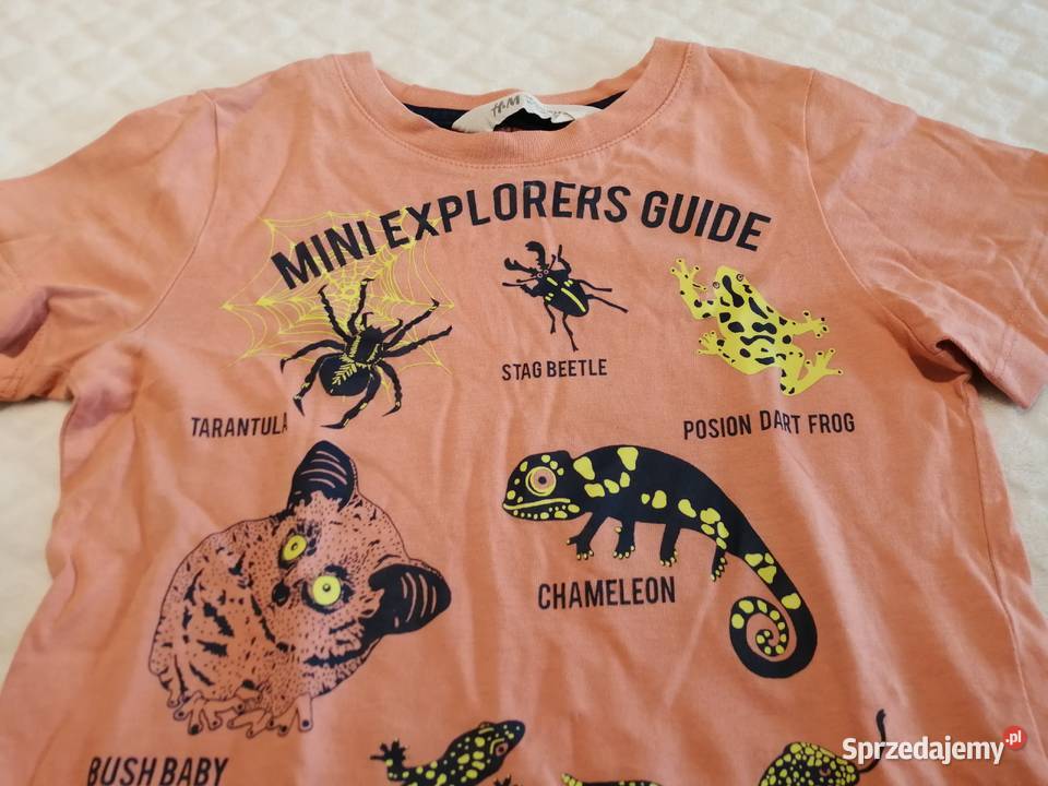 Koszulka krótki rękaw łososiowa 98104 HM Odzież krótki Czeladź