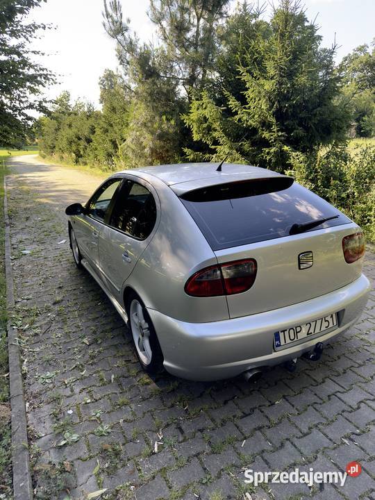 Seat Leon ARL Iwaniska