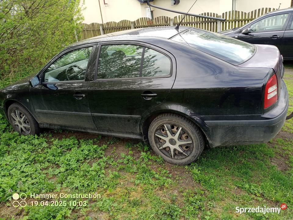 Skoda Octavia mazowieckie Szlasy Bure