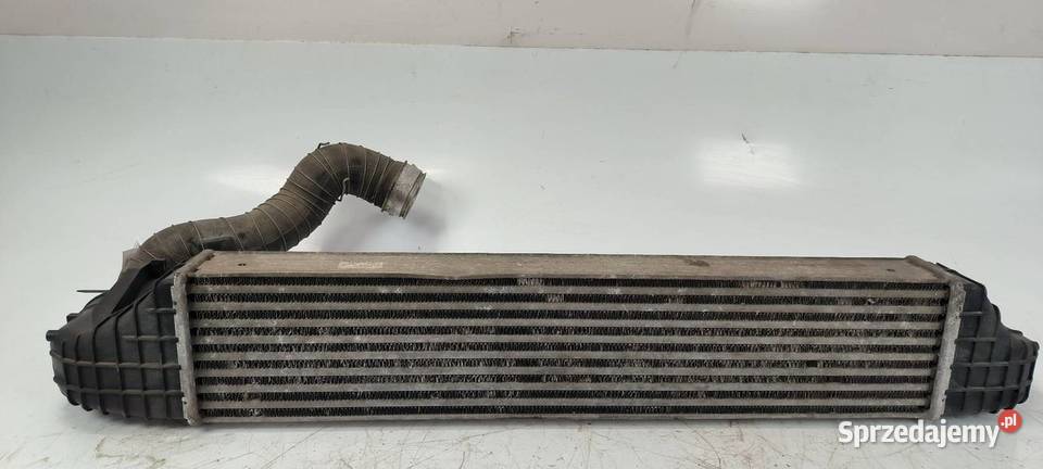 INTERCOOLER MERCDESBENZ CKLASA W203 A2035000500 Lipno sprzedam