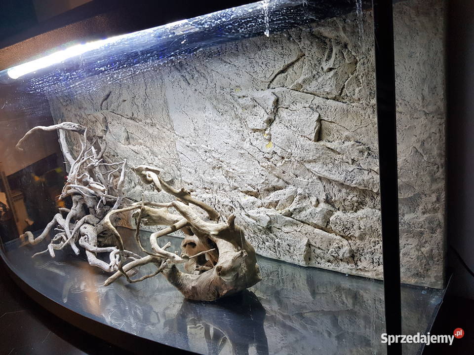 Akwarium panoramiczne 210 l tło strukturalne Led Akwarystyka Żywiec