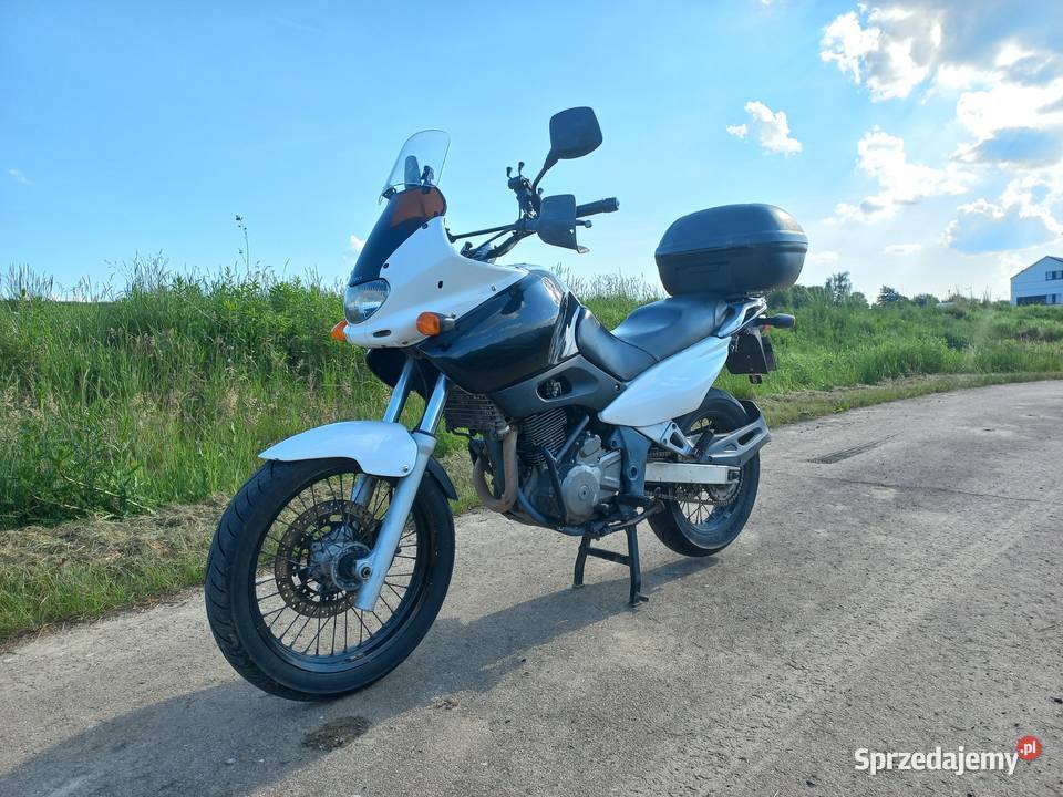 Suzuki XF 650 Freewind motocyklistki Suzuki Łysokanie sprzedam