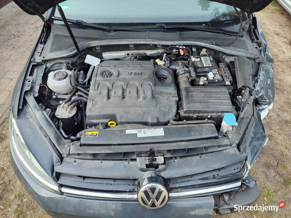 Volkswagen Golf VII Dokumentacja przebiegu 2 Hatchback Turek sprzedam