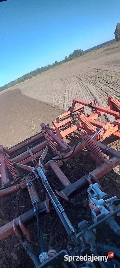 Gruber ścierniskowy rubin 47m non stop Osówka sprzedam