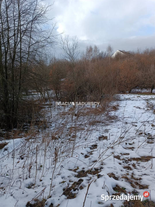 sprzedaży działki 9900m2 Czarnochowice