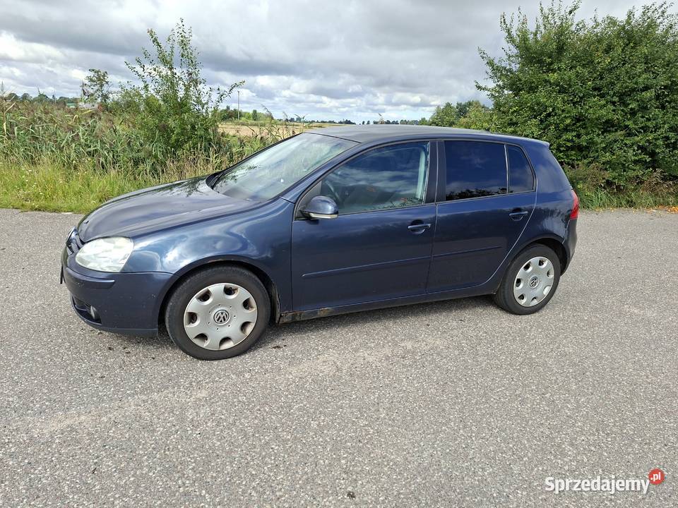 Volkswagen Golf V 19 tdi 2006 5 drzwi Golf Nowy Dwór Gdański