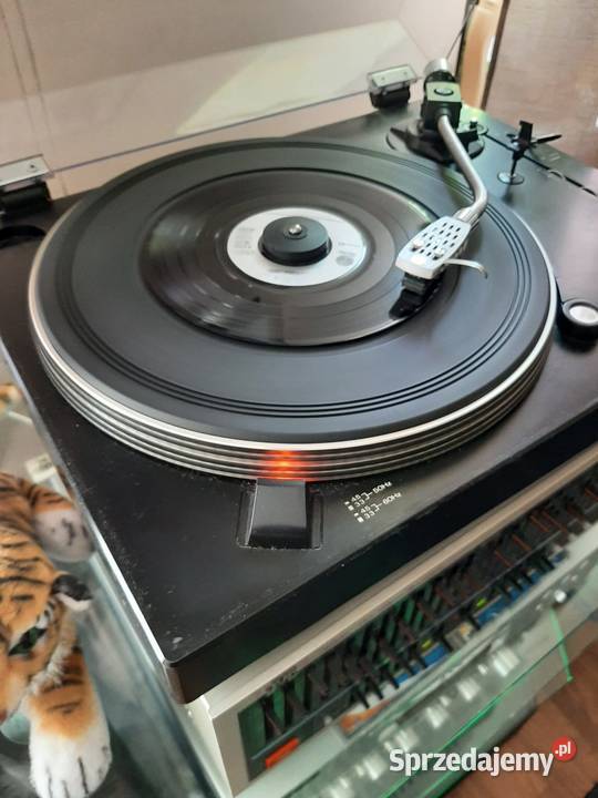 Gramofon EXPERT AD800 Pro Sound Szczecin