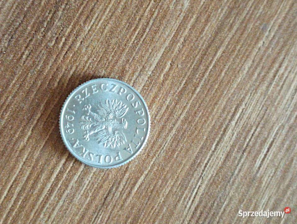 Sprzedam 1 grosz 1949 r bzm Numizmatyka Chełm