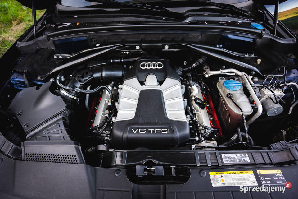 Audi SQ5 30 V6T Premium Plus świętokrzyskie Piekoszów