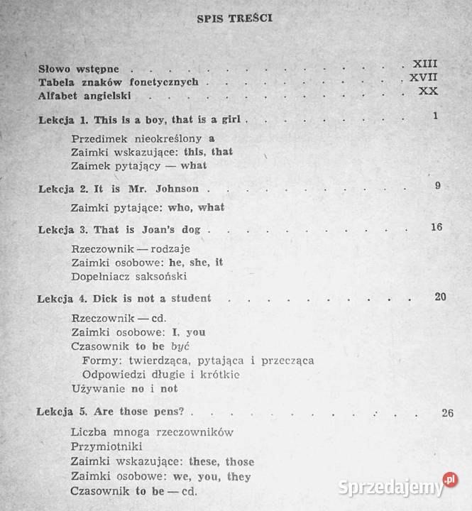 Język angielski początkujących Irena Dobrzycka Chełm