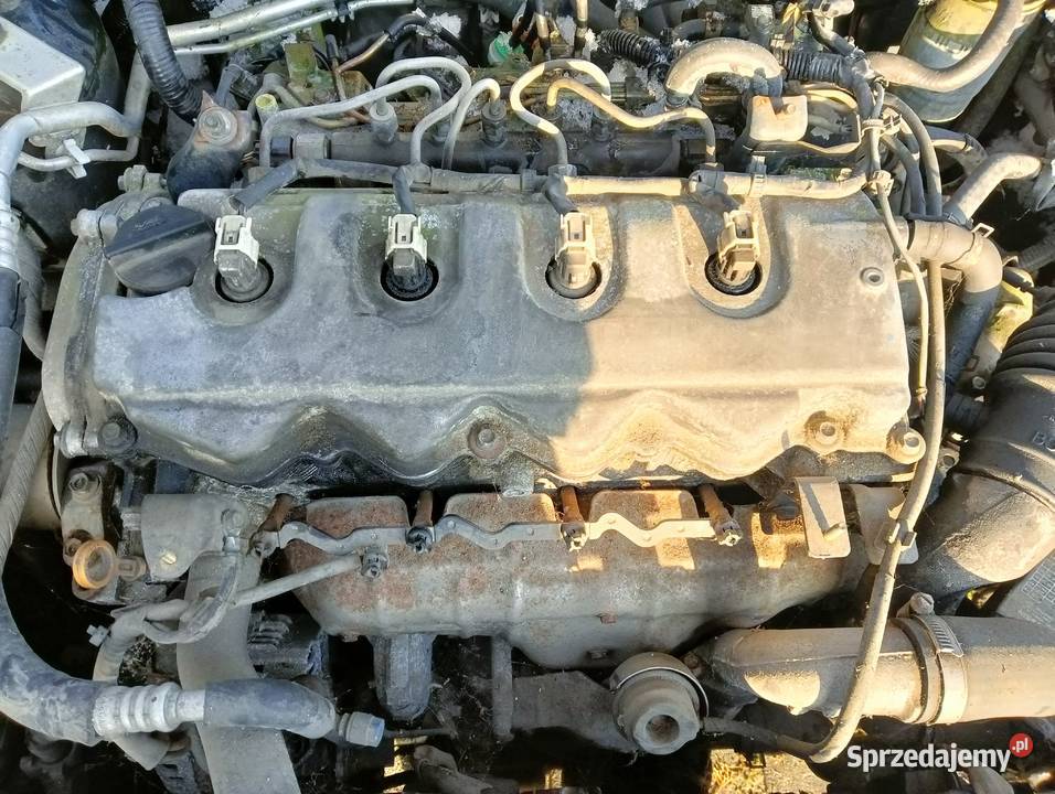 Nissan Primera Wilczkowo