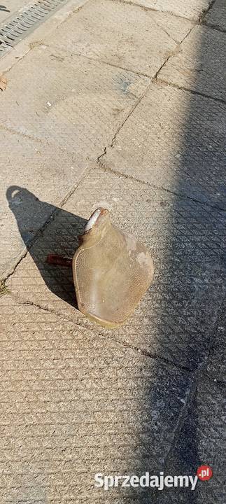 Siedzenie komar żak śląskie Rybnik