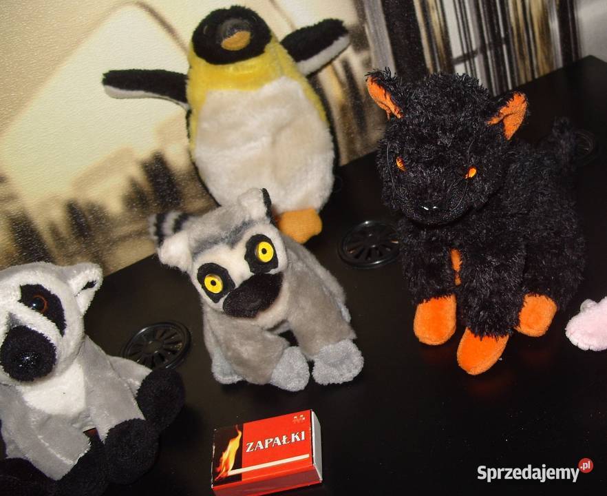 2 Lemurki Piesek2 Kotki2 PingwinyZestaw wielkopolskie Rawicz