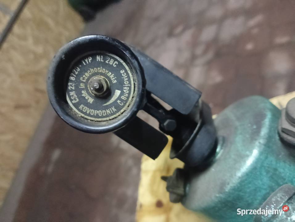 Lutlampa Pozostałe Brzóza Królewska