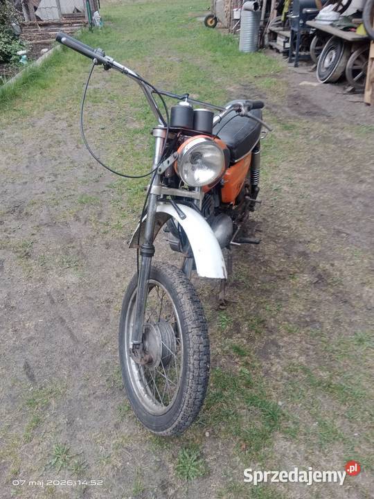 Wsk lelek 76 dudek bąk gil oryginał pomorskie Czersk