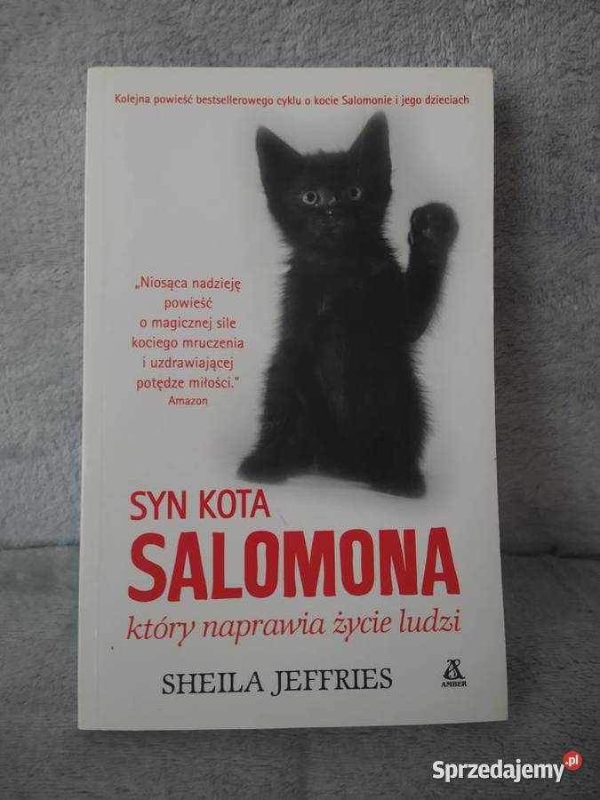 Syn kota Salomona który naprawia zycie ludzi Oborniki Śląskie sprzedam