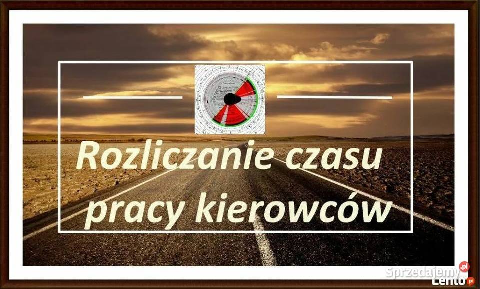 ADR DGSA RID IMDG doradca BielskoBiała współpraca