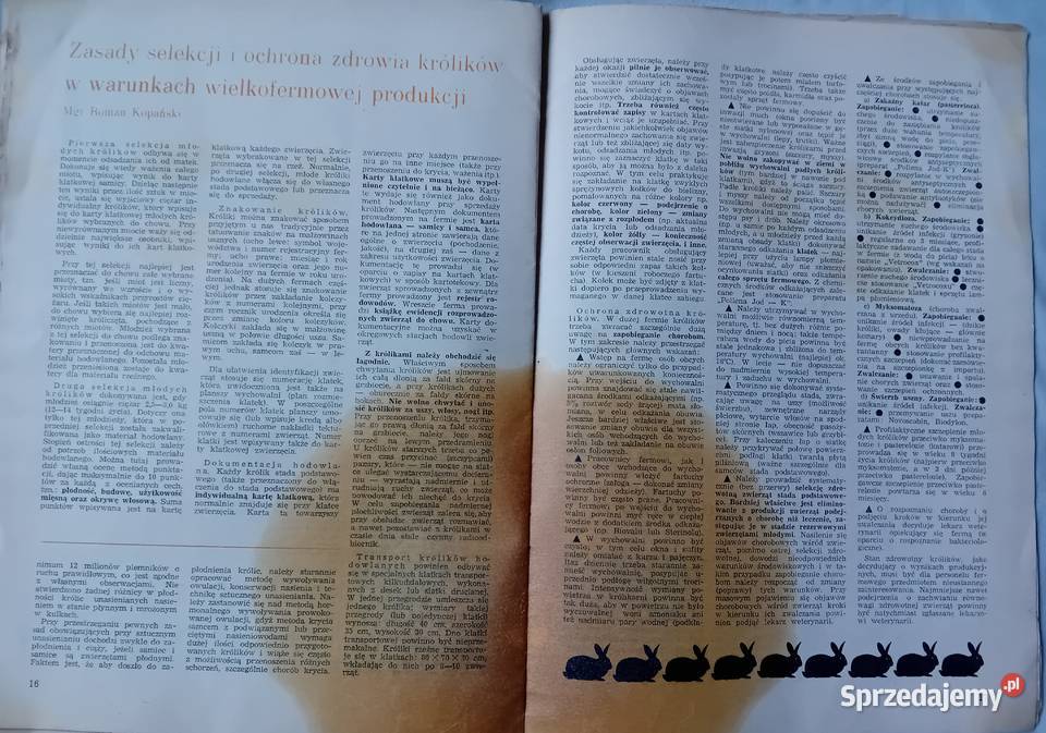 Hodowca Drobnego Inwentarza 2 1978 r Antykwariat