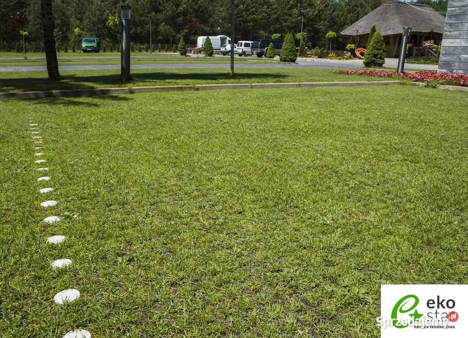 KRATKA TRAWNIKOWA DROGOWA EKO STAR Typ B 50X50X4 warmińsko-mazurskie Elbląg sprzedam